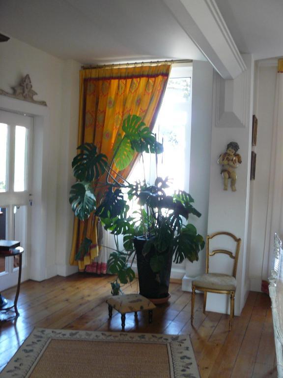 Chambres D'Hotes L'Albinque Кастр Екстериор снимка